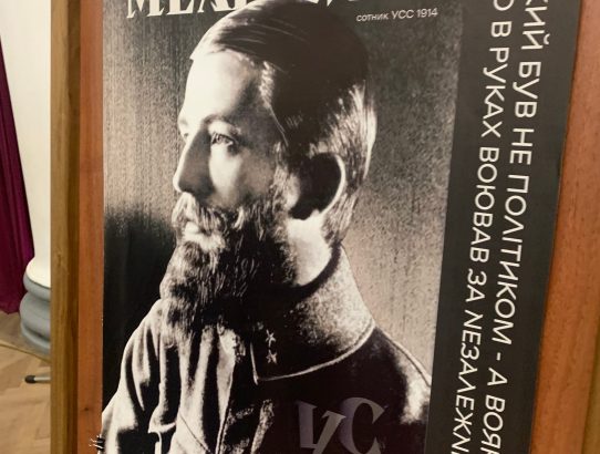 ЛЮДИНА ІЗ ШОВКУ ТА СТАЛІ